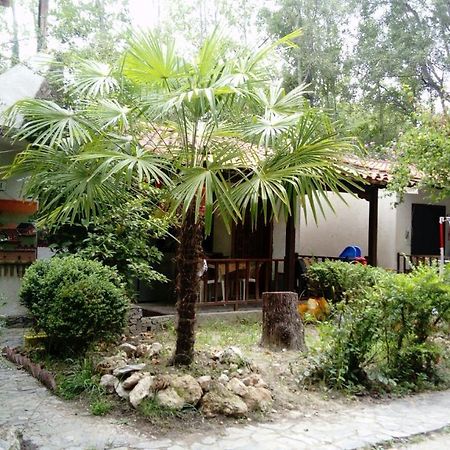 מלון Kalyvia Varikou Camping Elizabeth מראה חיצוני תמונה