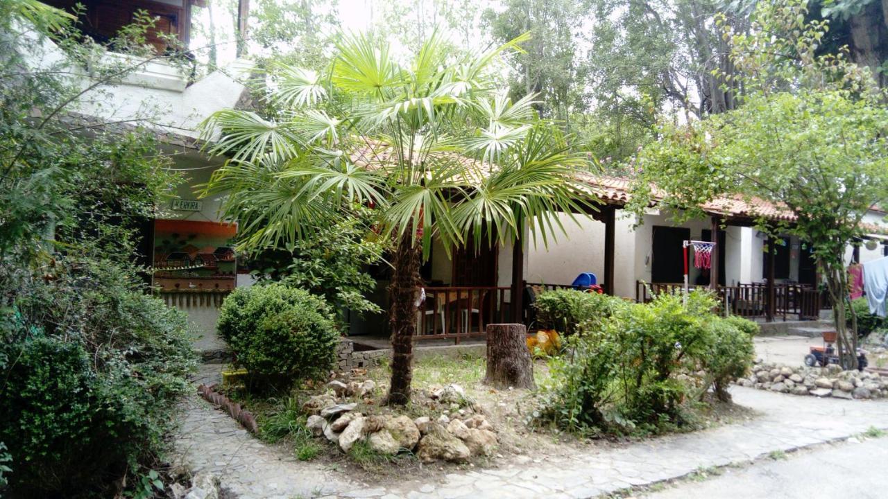מלון Kalyvia Varikou Camping Elizabeth מראה חיצוני תמונה